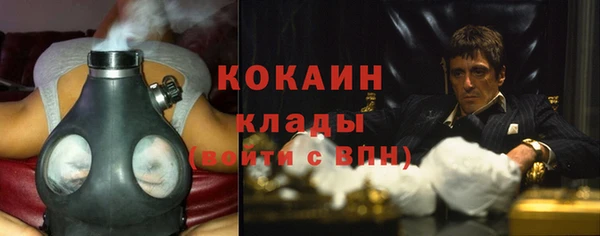 spice Алзамай