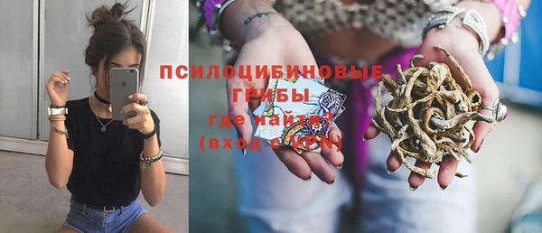 spice Алзамай